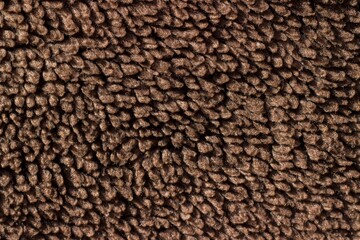 Close-up of brown wool carpet. Background, texture, pattern