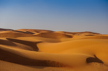 Fototapeta na wymiar Picture of yellow desert in front of blue sky.