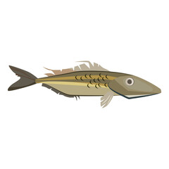 Common ling fish. Long and slender cod like fish. Can be used for topics like fishing, animal, aquarium