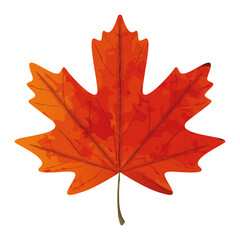 Textured maple leaf. Canadian symbol - Vector illustration