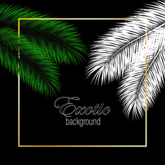 Palm green and white leaves background. Vector exotic palm leaves.