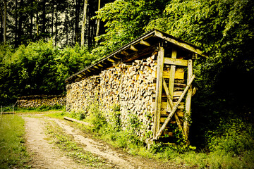 Firewood for heating