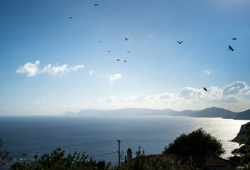 View from the hills of Skopelos island on the sea with black birds in the sky.