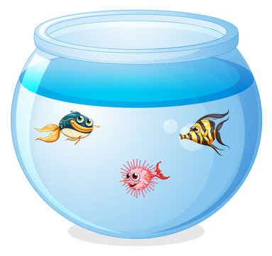 Fishbowl Clipart Images – Browse 616 Stock Photos, Vectors, and Video |  Adobe Stock