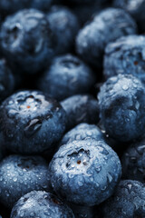 Juicy blueberries in the form of a full-screen texture.