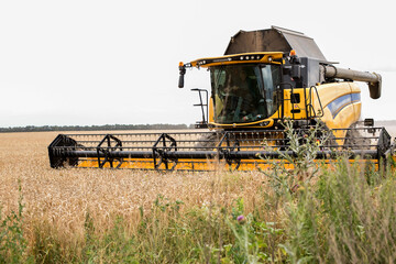 Harvester on a wheat field. 
Harvesting