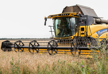Harvester on a wheat field. 
Harvesting