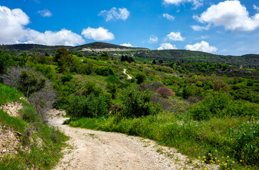 Fototapeta na wymiar Forest-covered green hills on a bright Sunny summer day in the mountains of Central Cyprus.