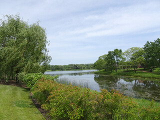 Fototapeta premium little river on a summer day