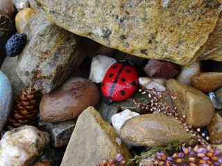 marienk&auml;fer aus stein gesehen auf dem jakobsweg