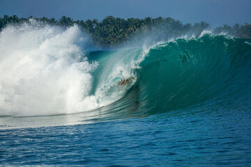 Surfer on perfect blue big tube wave, empty line up, perfect for surfing, clean water, Indian Ocean in Mentawai islands