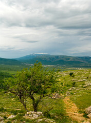 green mountain valley under a dense cloudy sky