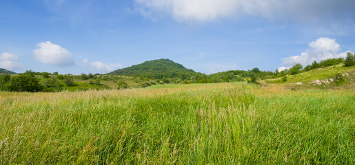 wide green prairie in a mountain valley, summer outdoor landscape