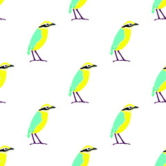 Colorful bird vector art on white background is in Seamless pattern