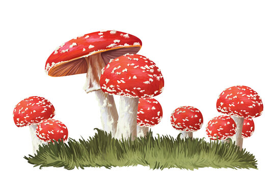 Red mushrooms in grass. Drawn clip art on white background