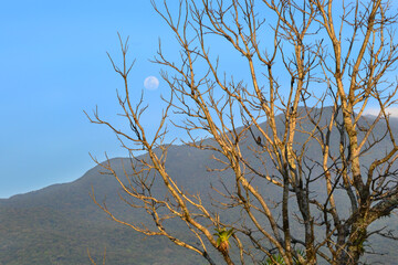 Tenorio volcano in Costa Rica seen through dry branches on a beautiful summer day with blue sky and full moon in the background.