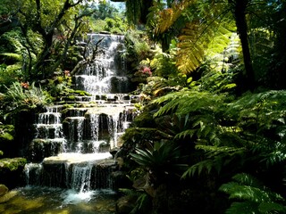 waterfall in the park