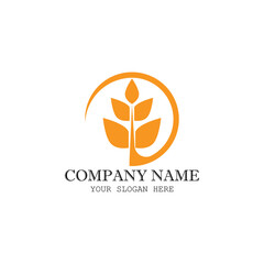 Wheat Logo Template vector symbol