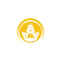 Wheat Logo Template vector symbol