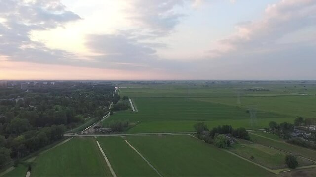 Droneshots of sheeps in the fields of Holland