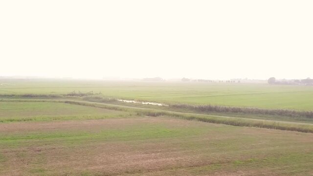 Droneshots of sheeps in the fields of Holland