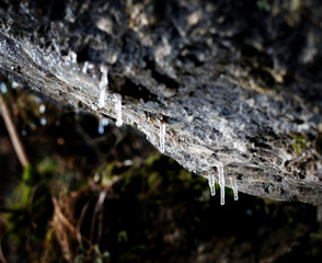 icicles on a rock in the alpine forest
