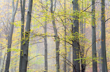 Autumn landscape in Cernei Mountains, Carpathians Range, Romania, Europe
