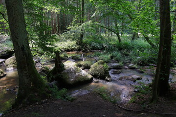 Wald, Bach, Steine, Fluss, Landschaft