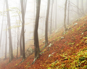 Obraz premium Autumn landscape in Cernei Mountains, Carpathians Range, Romania, Europe