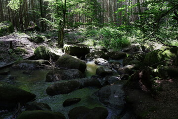Fototapeta premium Wald, Bach, Fluss, Landschaft