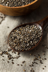 Raw Dry Organic Chia Seeds