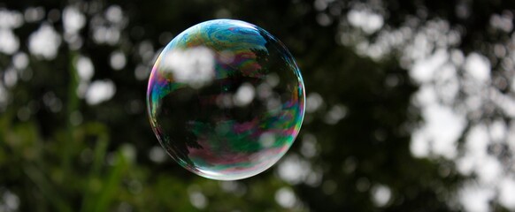 Soap bubble in the park