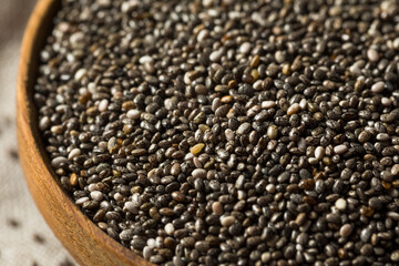 Raw Dry Organic Chia Seeds