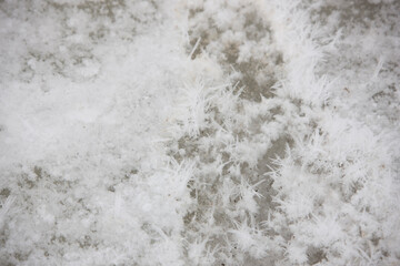 Antarctica large snowflakes close up on a cloudy winter day