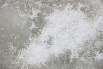 Antarctica large snowflakes close up on a cloudy winter day