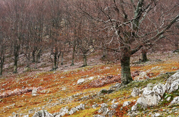 Autumn landscape in Cernei Mountains, Carpathians Range, Romania, Europe