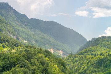 Distant mountains covered with green forest at sunrise