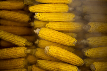 Boiled corn in hot water - street food