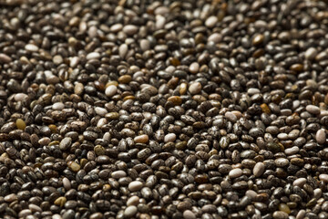 Raw Dry Organic Chia Seeds