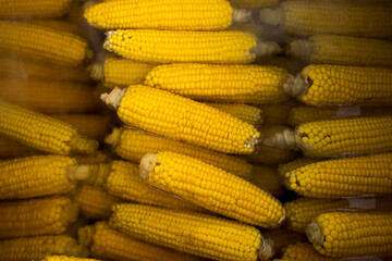 Boiled corn in hot water - street food