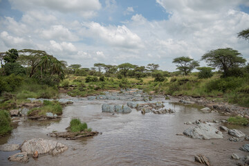 Beautiful view of nature and river in Tanzania
