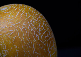 Yellow melon with a texture on a black background. Summer food. Yellow/