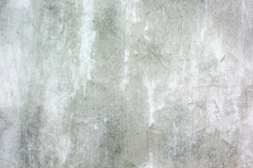 The background texture of the cement plaster is raw white and gray.