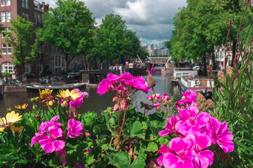 Flowers in Amsterdam