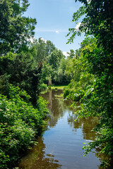 River in Vondelpark