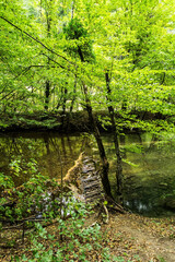 Obraz premium Beu river. Cheile Nerei-Beusnita National Park, Romania.