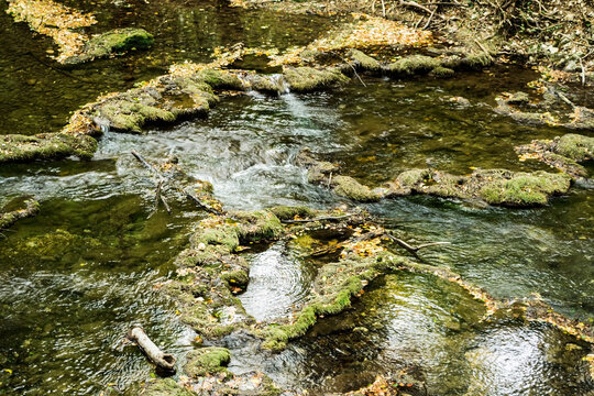Beu river. Cheile Nerei-Beusnita National Park, Romania.