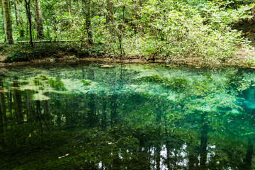 Fototapeta na wymiar Ochiul Beiului, emerald lake in National Park Cheile Nerei - Beusnita, Banat, Romania.
