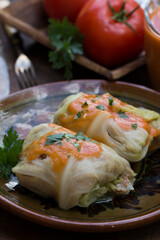 Golabki - traditional Polish food. Stuffed cabbage and tomato sauce garnished with fresh parsley.