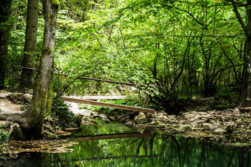 Ochiul Beiului, emerald lake in National Park Cheile Nerei - Beusnita, Banat, Romania.